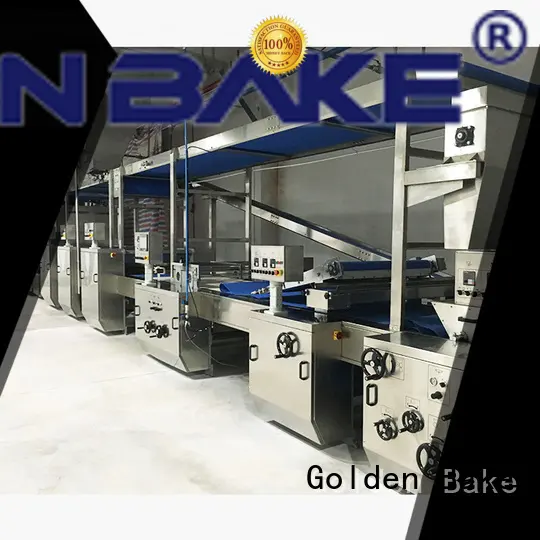 Golden Bake professional biscuit making machine suppliers solution for dough processing1 1