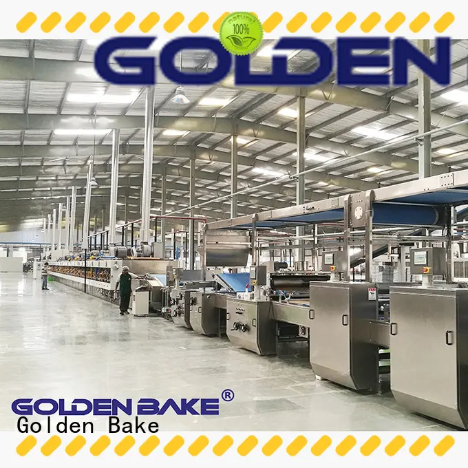 Golden Bake cookie making machine factory for biscuit material forming 1