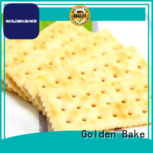 Golden Bake biscuit maker factory for soda biscuit production 1