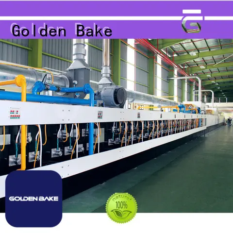 Golden Bake industrial cookie oven solution for biscuit baking 1