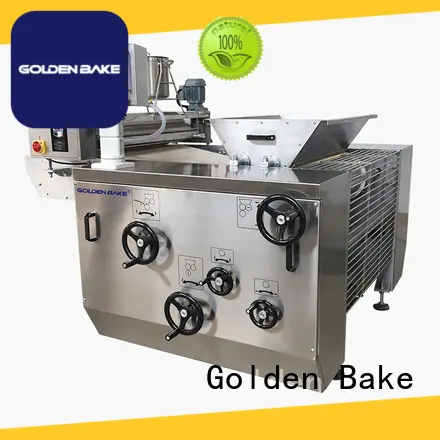 Golden Bake rotary moulder manufacturer for dough processing 1