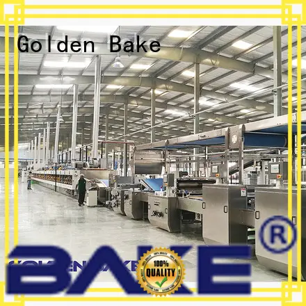 Golden Bake best cookie making machine solution for biscuit material forming 1