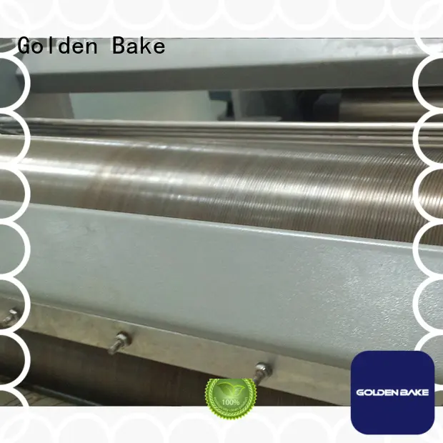Golden Bake rotary molding machine solution for biscuit material forming1 1