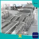 Golden Bake conveyor system solution for biscuit post baking 1