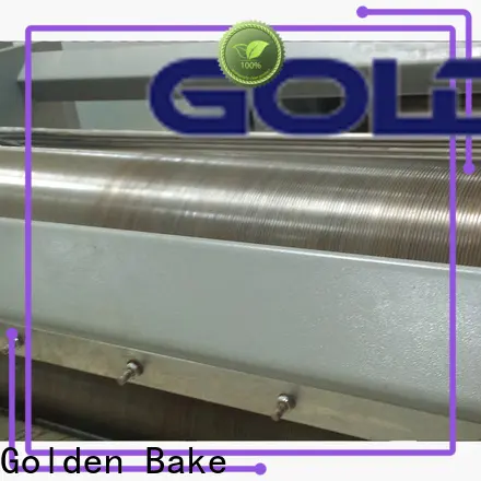 Golden Bake professional manufacturing of biscuits solution for dough processing 1