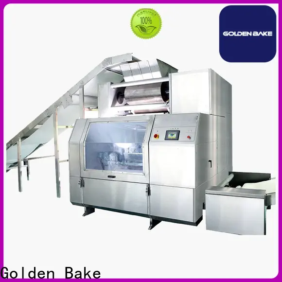 Golden Bake biscuit manufacturing process britannia solution for dough processing 1