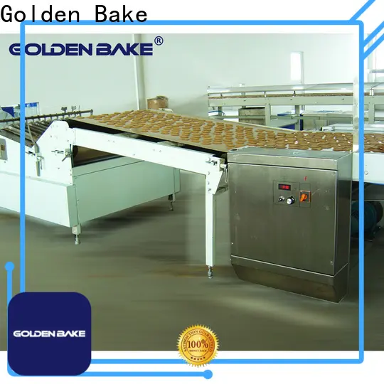 Golden Bake best biscuit making machine factory for normal cooling conveying 1