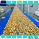 Golden Bake professional biscuit cooling conveyor solution for normal cooling conveying 1