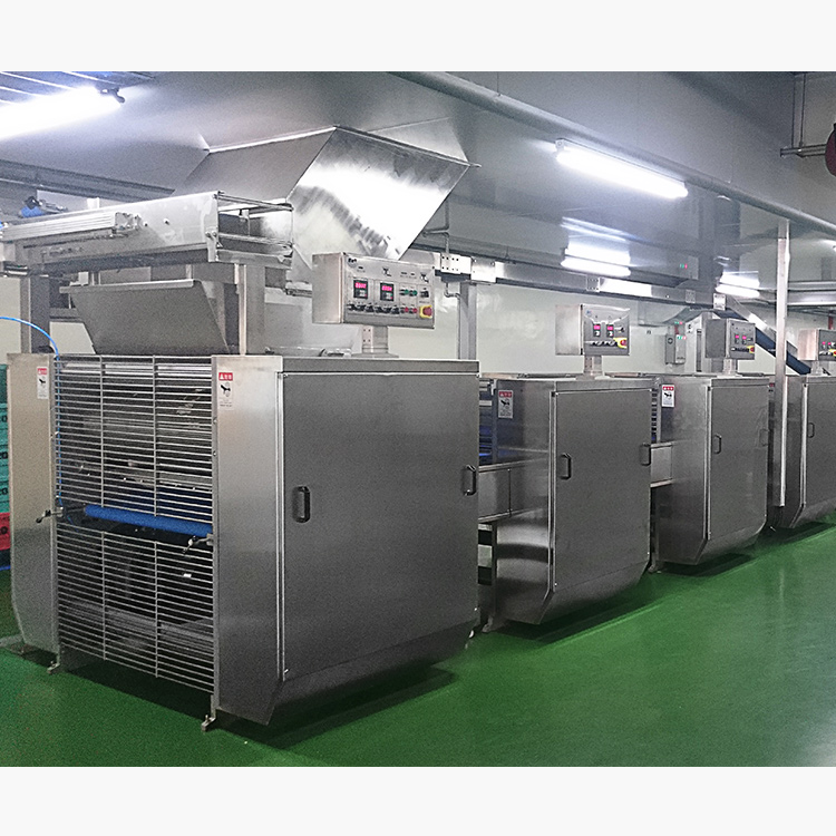Golden Bake biscuit manufacturing unit company for dough processing 3