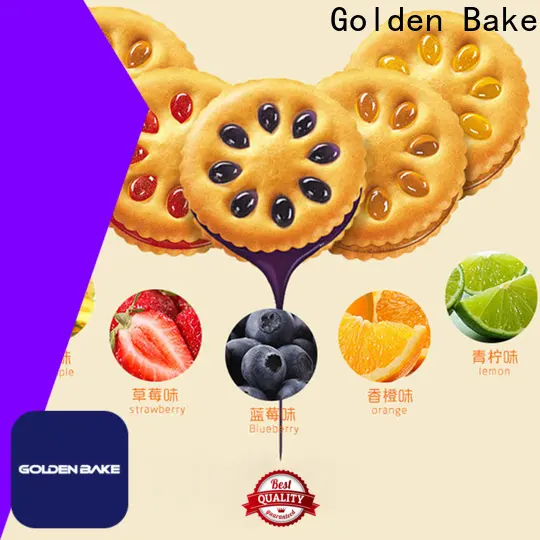 Golden Bake dough feeder machine supply 1
