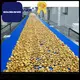 best biscuit cooling conveyor company for cooling biscuit 1