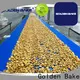 Golden Bake turning machine suppliers for normal cooling conveying 1