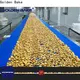 Golden Bake turning machine supply for cooling biscuit 1