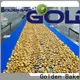 Golden Bake cooling conveyor manufacturers for cooling biscuit 1