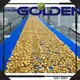 Golden Bake best turning conveyor company for cooling biscuit 1