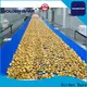 Golden Bake professional cooling conveyor supply for cooling biscuit 1