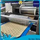 Golden Bake durable small scale biscuit manufacturing unit vendor for biscuit industry 1