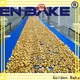 Golden Bake excellent biscuit stacking machine supply for normal cooling conveying 1