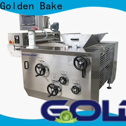 Golden Bake professional cookie moulder factory for biscuit production 1