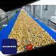 excellent vertical packing machine solution for cooling biscuit 1