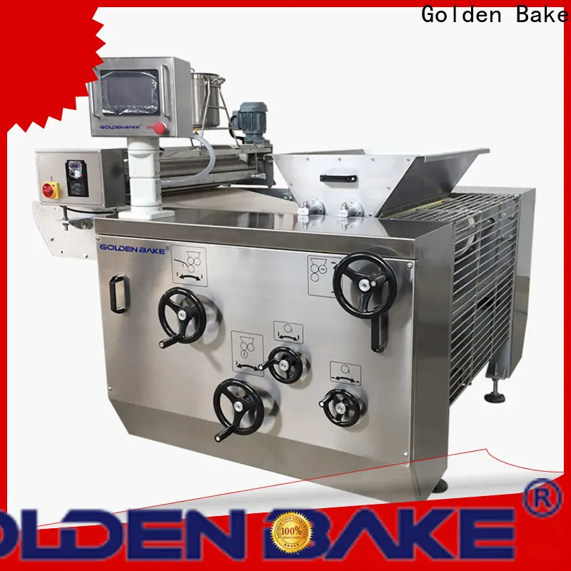 Golden Bake biscuit moulding machine solution for biscuit industry 1