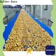Golden Bake biscuit making machine supply for normal cooling conveying 1