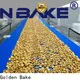 Golden Bake biscuit making equipment suppliers for normal cooling conveying 1