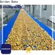 Golden Bake Golden Bake turning conveyor suppliers for cooling biscuit 1