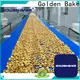 Golden Bake biscuit making equipment suppliers for normal cooling conveying2 1