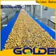 Golden Bake professional biscuit making machine factory for normal cooling conveying 1
