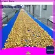 Golden Bake biscuit cooling conveyor supply for normal cooling conveying 1