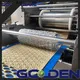 Golden Bake professional biscuit manufacturing business solution for biscuit industry 1