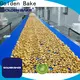 professional horizontal packing machine suppliers for cooling biscuit 1