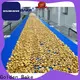 Golden Bake biscuit making machine supply for normal cooling conveying2 1