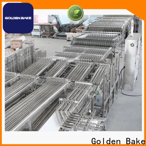 Golden Bake top quality conveyor system company 1