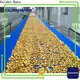 Golden Bake Golden Bake cooling conveyor factory for normal cooling conveying 1
