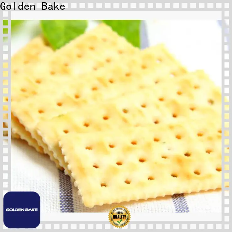 Golden Bake vertical dough mixer vendor for soda biscuit production 1