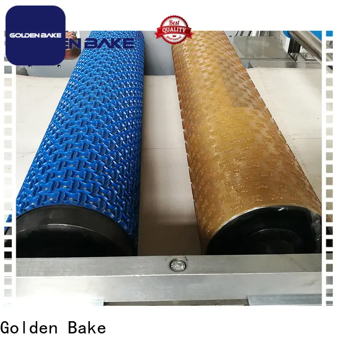 Golden Bake biscuits manufacturing machines for sale for biscuit surface pattern 1