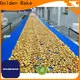Golden Bake cooling conveyor factory for normal cooling conveying2 1