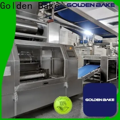 Golden Bake dough cutting machine solution for biscuit material forming 1