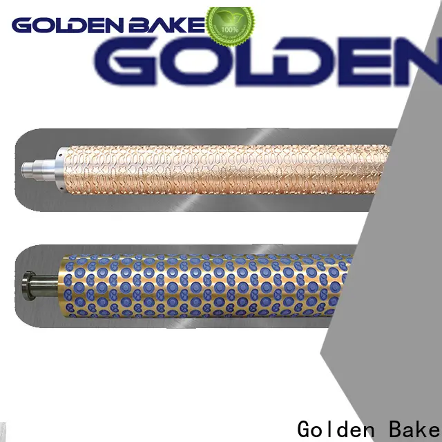Golden Bake rotary cutting system manufacturer for soft hard biscuit 1