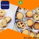 Golden Bake cookie dough machine suppliers for cookies processing 1