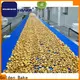 Golden Bake biscuit making machine suppliers for normal cooling conveying 1