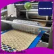 excellent biscuit manufacturing business solution for small scale biscuit production 1