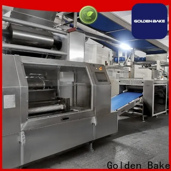 Golden Bake top cookie making machine solution for forming the dough 1