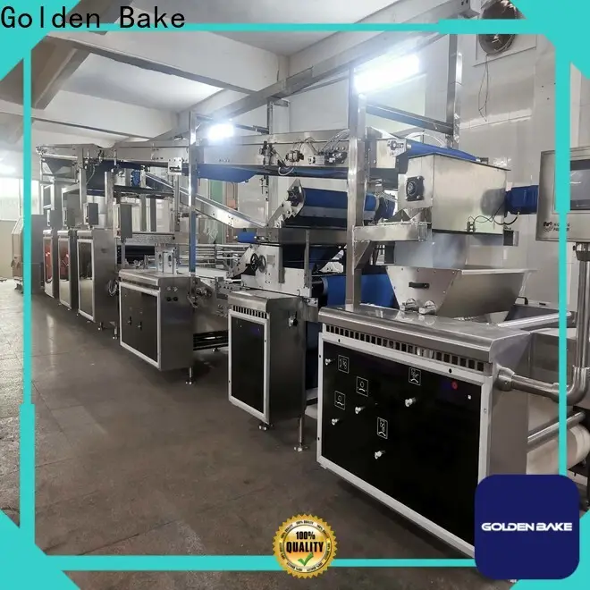Golden Bake biscuits manufacturing process factory for dough processing 1
