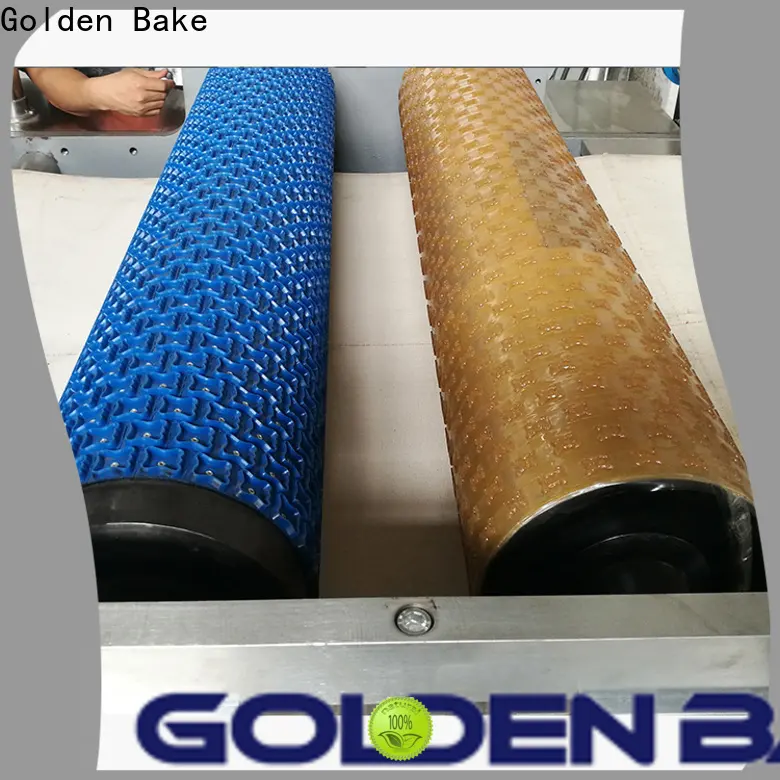 Golden Bake durable biscuit manufacturing business supply for dough processing 1