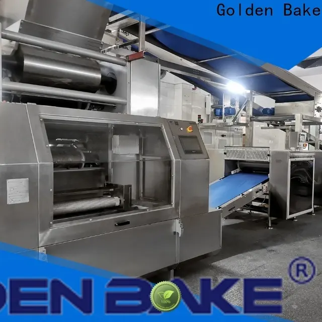 professional small scale biscuit manufacturing unit solution for forming the dough 1