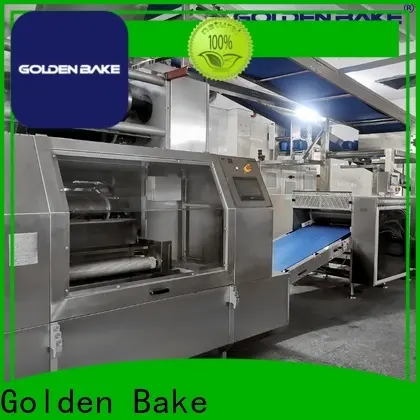 Golden Bake biscuit manufacturing unit manufacturer for forming the dough 1