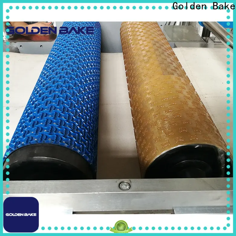 Golden Bake biscuits manufacturing machines factory for biscuit surface pattern 1